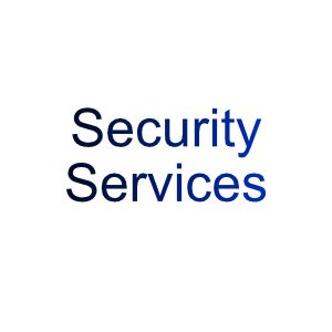 Security Services (Cybersecurity, Private Security, Surveillance Systems)